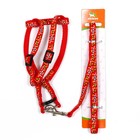 Комплект "Звёздные косточки", поводок 120 х 1 см, ОГ 23-35 см, красный - Фото 7