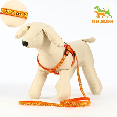 Комплект "Звездные косточки", ширина 1 см, поводок 120 см, шлейка 23-35 см, оранжевый