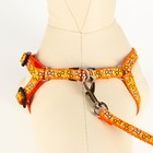 Комплект "Звездные косточки", ширина 1 см, поводок 120 см, шлейка 23-35 см, оранжевый - Фото 4