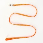 Комплект "Звездные косточки", ширина 1 см, поводок 120 см, шлейка 23-35 см, оранжевый - Фото 6