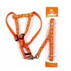 Комплект "Звездные косточки", ширина 1 см, поводок 120 см, шлейка 23-35 см, оранжевый - Фото 7