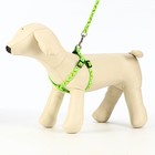 Комплект "Звёздные косточки", поводок 120 х 1 см, ОГ 23-35 см, зелёный - Фото 2