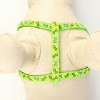 Комплект "Звёздные косточки", поводок 120 х 1 см, ОГ 23-35 см, зелёный - Фото 5