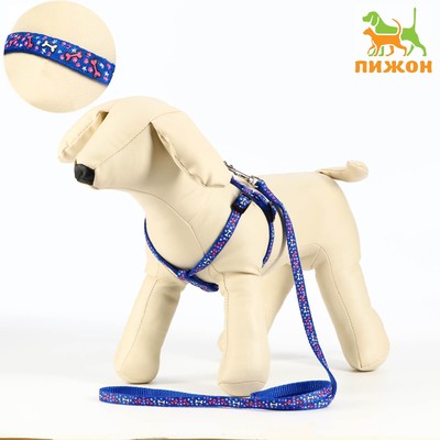 Комплект «Звёздные косточки», ширина 1 см, поводок 120 см, шлейка 23-35 см, синий