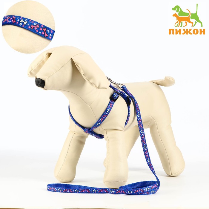 Комплект «Звёздные косточки», ширина 1 см, поводок 120 см, шлейка 23-35 см, синий - Фото 1