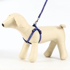 Комплект «Звёздные косточки», ширина 1 см, поводок 120 см, шлейка 23-35 см, синий - Фото 3