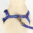 Комплект «Звёздные косточки», ширина 1 см, поводок 120 см, шлейка 23-35 см, синий - Фото 4