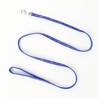 Комплект «Звёздные косточки», ширина 1 см, поводок 120 см, шлейка 23-35 см, синий - Фото 6