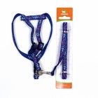 Комплект «Звёздные косточки», ширина 1 см, поводок 120 см, шлейка 23-35 см, синий - Фото 7