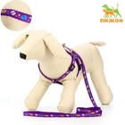 Комплект "Цветные следы", поводок 120 х 1 см, ОГ 23-35 см, фиолетовый - Фото 1