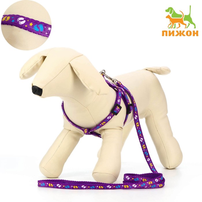 Комплект "Цветные следы", поводок 120 х 1 см, ОГ 23-35 см, фиолетовый - Фото 1