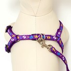 Комплект "Цветные следы", поводок 120 х 1 см, ОГ 23-35 см, фиолетовый - Фото 4