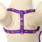 Комплект "Цветные следы", поводок 120 х 1 см, ОГ 23-35 см, фиолетовый - Фото 5