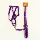 Комплект "Цветные следы", поводок 120 х 1 см, ОГ 23-35 см, фиолетовый - Фото 6