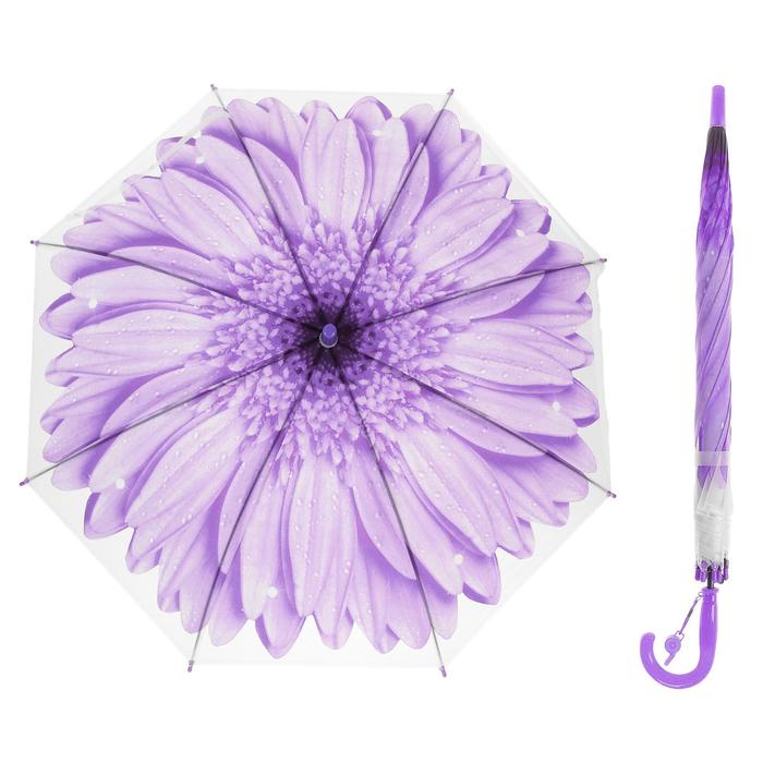 Зонт-трость «Гербера», полуавтоматический, со свистком, R=41см, цвет фиолетовый - Фото 1