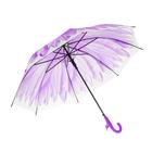 Зонт-трость «Гербера», полуавтоматический, со свистком, R=41см, цвет фиолетовый - Фото 2