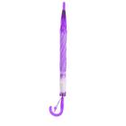 Зонт-трость «Гербера», полуавтоматический, со свистком, R=41см, цвет фиолетовый - Фото 3