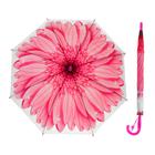 Зонт-трость «Гербера», полуавтоматический, со свистком, R=41см, цвет розовый - Фото 1