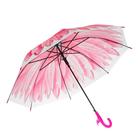 Зонт-трость «Гербера», полуавтоматический, со свистком, R=41см, цвет розовый - Фото 2