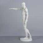 Гипсовая фигура анатомическая: Гудон, 73.5 см - фото 9253810