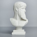 Гипсовая фигура известные люди: Бюст Зевса - Посейдона, 17 х 9 х 29 см - Фото 2