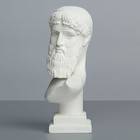 Гипсовая фигура известные люди: Бюст Зевса - Посейдона, 17 х 9 х 29 см - Фото 3