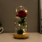 Ночник "Колба с алой розой" LED от батареек 3ААА 19,5х9,5х9,5 см RISALUX - Фото 3