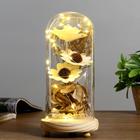 Ночник "Колба с букетом" LED 3ААА 22,5х9,5х11 см RISALUX - Фото 2