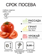 Семена Томат "Засолочное Чудо", среднеранний, цп, детерминантный, среднерослый 0,05 г - Фото 2