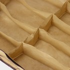 Кофр для обуви Доляна, 12 отделений, 65×54×10 см, бежевый - Фото 3