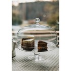 Подставка для торта на ножке со стеклянной крышкой Magistro «Лакомство», 28×28 см - Фото 2