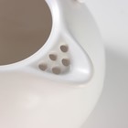 Набор для чайной церемонии керамический «Тясицу», 8 предметов: 4 пиалы 50 мл, чайник 120 мл, салфетка, щипцы, подставка, цвет бежевый - Фото 8