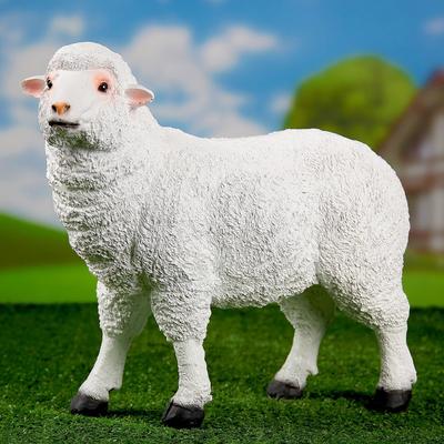Овца картинки для детей - 54 фото