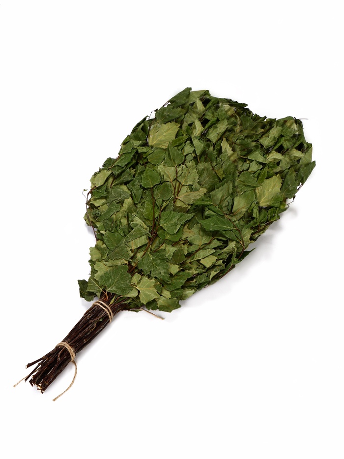 Веник для бани, берёзовый, в упаковке