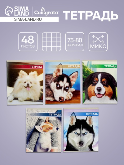 Тетрадь 48 листов в клетку Calligrata «Собачьи мордочки», серые листы, МИКС