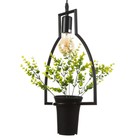 Светильник BayerLux "Абажур" черный 1x40W E27 12x34x48 см - Фото 6