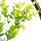 Светильник BayerLux "Абажур" черный 1x40W E27 12x34x48 см - Фото 8