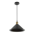 Светильник BayerLux «Грегори» 40 Вт E27 черный 30×30×14-100 см - Фото 1