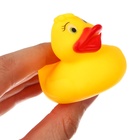 Резиновые игрушки для ванны «Мыльница: Уточки», 13.5 см, с пищалкой, в наборе 4 шт. - Фото 3