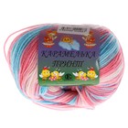 Пряжа "Карамелька принт" 100% акрил 175м/50гр (7 принт) - Фото 2