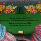 Пряжа "Карамелька принт" 100% акрил 175м/50гр (7 принт) - Фото 3