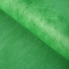 Фетр однотонный зеленый, 0,5 х 15 м - Фото 1