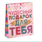 Набор пакетов микс «Твой подарок», ML 23 × 27 × 8 см - Фото 6