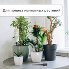 Автополив для комнатных растений под бутылку, регулируемый, серый, из пластика, высота 16 см, 4 шт. - Фото 2