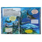 Детская энциклопедия. Животные морей и океанов - Фото 3