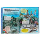 Большая детская энциклопедия «Подводный мир» - Фото 3