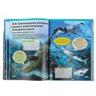 Большая детская энциклопедия «Подводный мир» - Фото 5