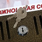 Ящик почтовый с замком, вертикальный, бронза, картинка МИКС - Фото 6