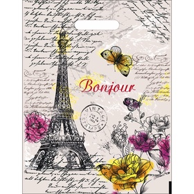 Пакет «Елисейские поля», полиэтиленовый с вырубной ручкой, 35 мкм, 30?40 см (комплект 50 шт)