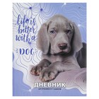 Дневник для 5-11 класса, твёрдая обложка Gray puppy, матовая ламинация, выборочный лак - Фото 1